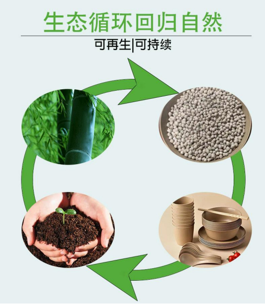 以竹代塑的項(xiàng)目實(shí)施成果